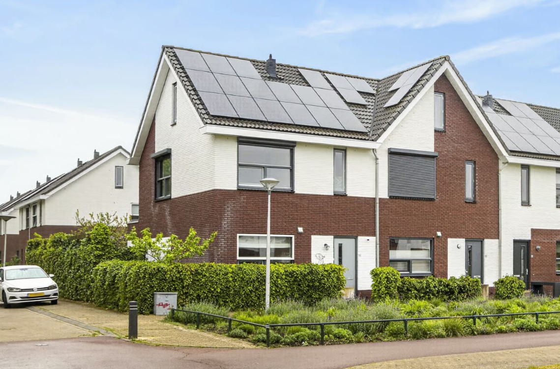 Heidevlinder_Enschede